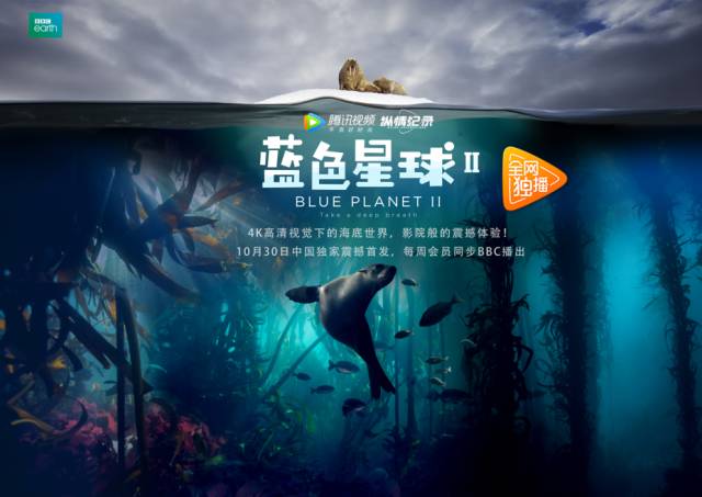 三千鸦杀 电视剧剧照3